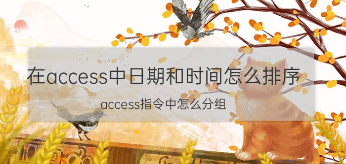 在access中日期和时间怎么排序 access指令中怎么分组？